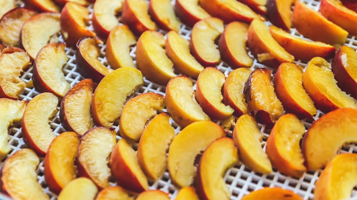 peach slices on dehydrator rack